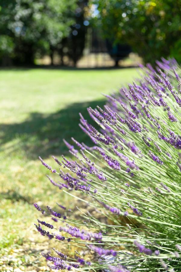 Mas Coeur De Provence Calme Luxe Grand Parc Villa Pernes-les-Fontaines Exterior photo